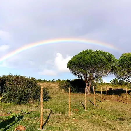 Domek alpejski Sondela Self Catering *