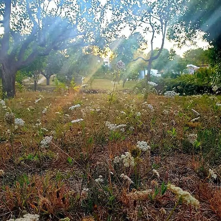 Domek alpejski Sondela Self Catering *