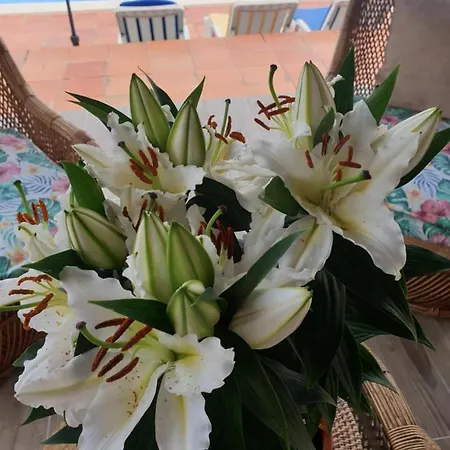 Domek alpejski Sondela Self Catering *