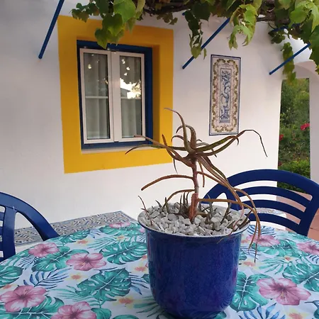Domek alpejski Sondela Self Catering