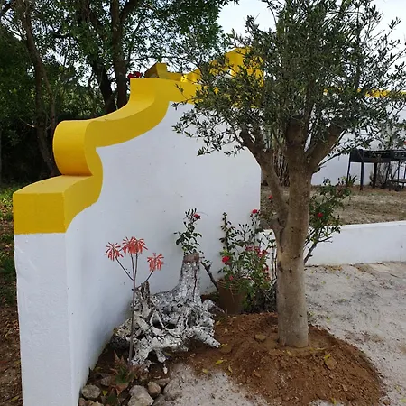 Domek alpejski Sondela Self Catering