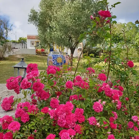 Domek alpejski Sondela Self Catering *