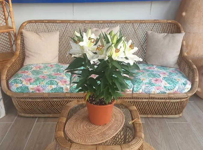 Sondela Self Catering בקתה סאו מרטיניו דו פורטו