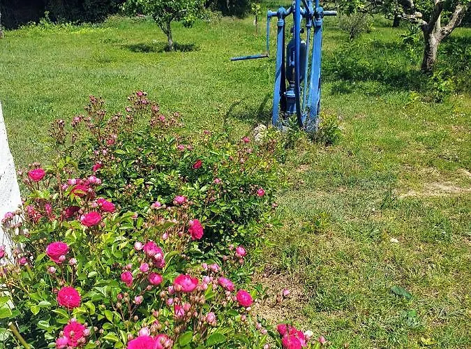 בקתה Sondela Self Catering