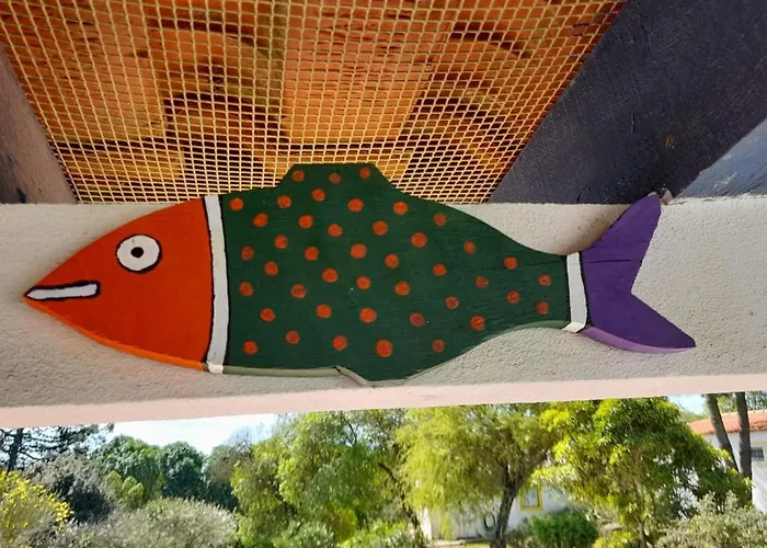 בקתה Sondela Self Catering סאו מרטיניו דו פורטו