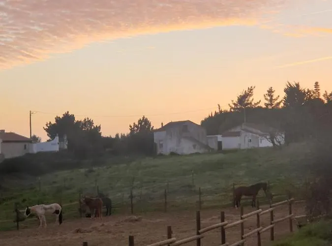 Sondela Self Catering * סאו מרטיניו דו פורטו