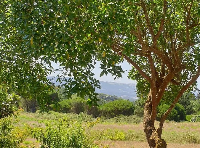 Sondela Self Catering בקתה *