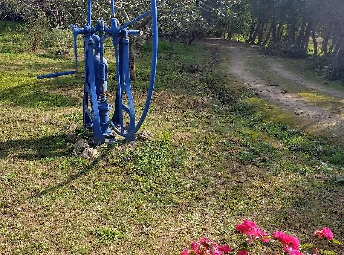 בקתה Sondela Self Catering סאו מרטיניו דו פורטו