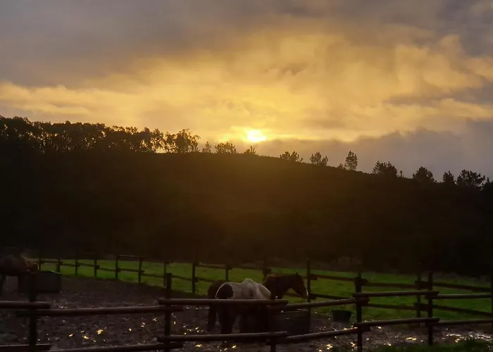 Sondela Self Catering בקתה