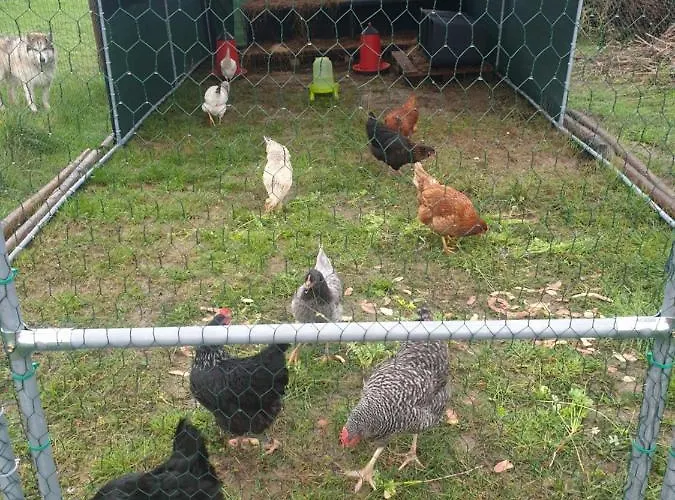 Sondela Self Catering בקתה *