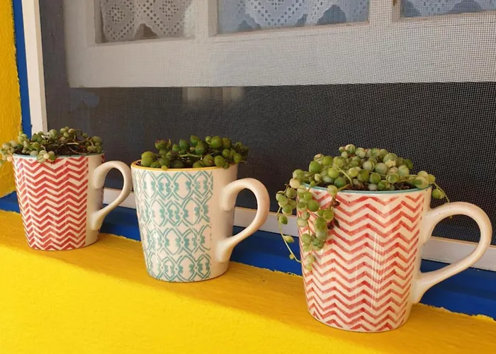 בקתה Sondela Self Catering סאו מרטיניו דו פורטו