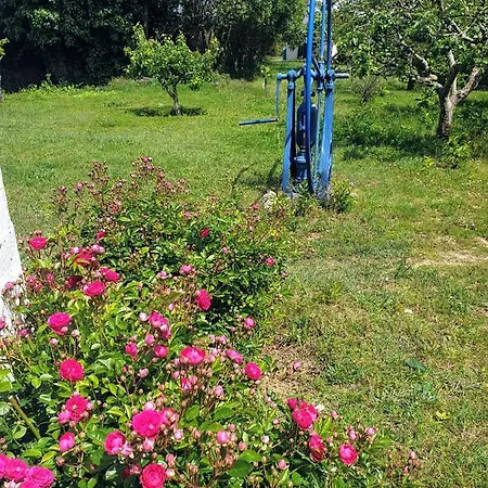 Alpehytte Sondela Self Catering