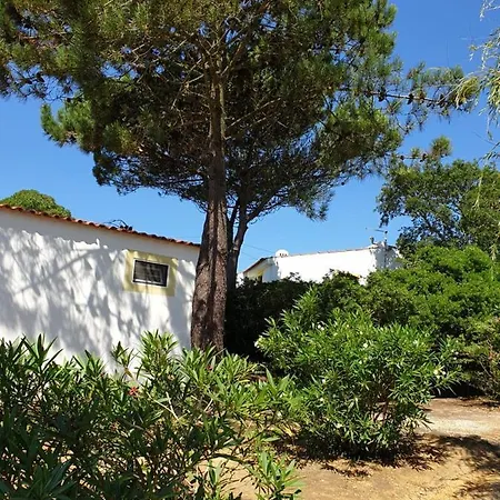 Sondela Self Catering Alpehytte *