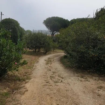 Sondela Self Catering Alpehytte *