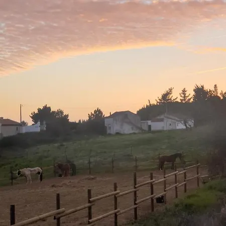 Sondela Self Catering * São Martinho do Porto