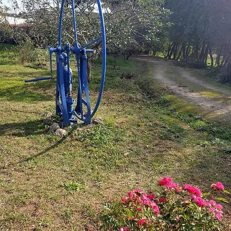 Alpehytte Sondela Self Catering São Martinho do Porto