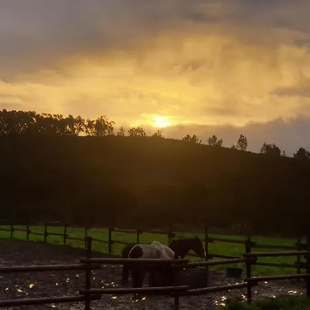 Sondela Self Catering Alpehytte