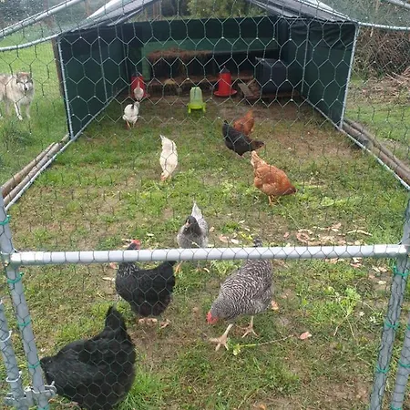 Sondela Self Catering Alpehytte *