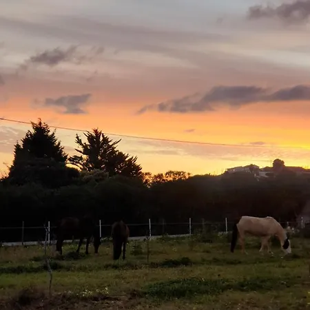 Alpehytte Sondela Self Catering