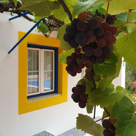 Alpehytte Sondela Self Catering *