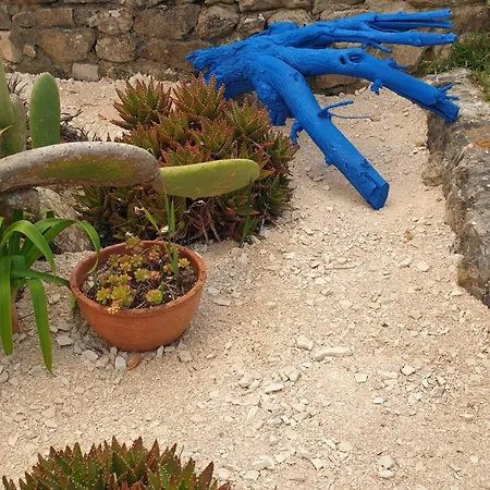 Chalet Sondela Self Catering Sao Martinho do Porto