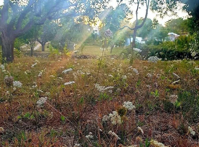 Alpehytte Sondela Self Catering *