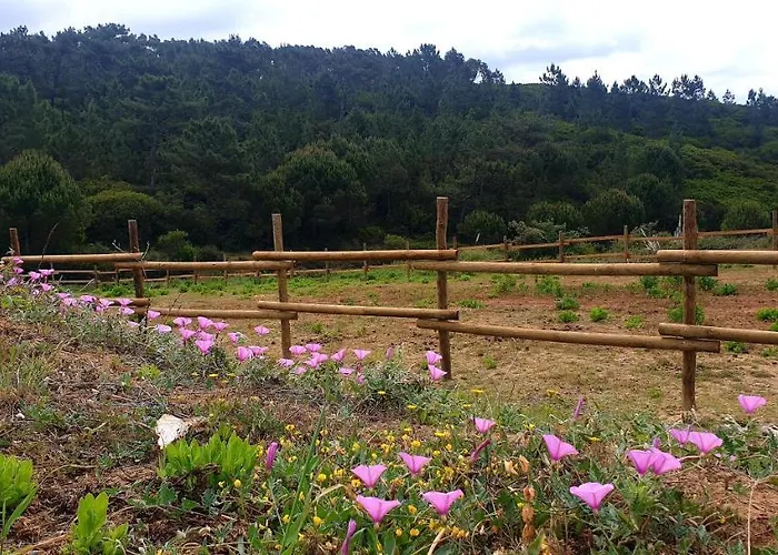 Sondela Self Catering São Martinho do Porto