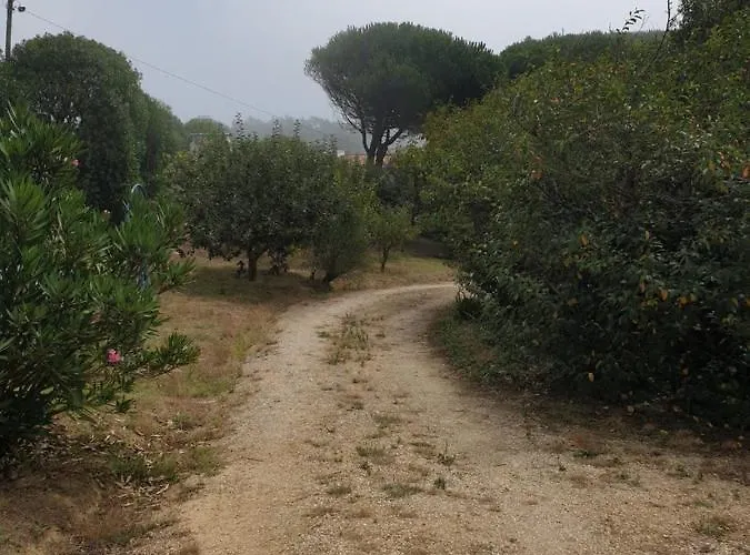 Sondela Self Catering Alpehytte *