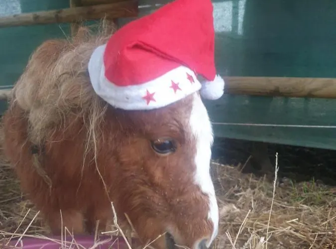 Sondela Self Catering Alpehytte *