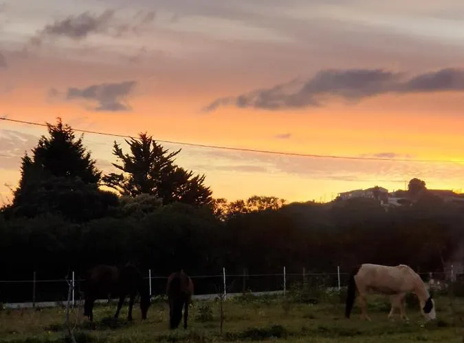 Alpehytte Sondela Self Catering